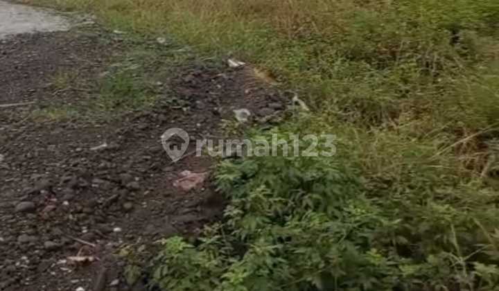 Land for Rent in Weleri. Flat & Non-Increasing Land. Strategic Location by the Main Road.