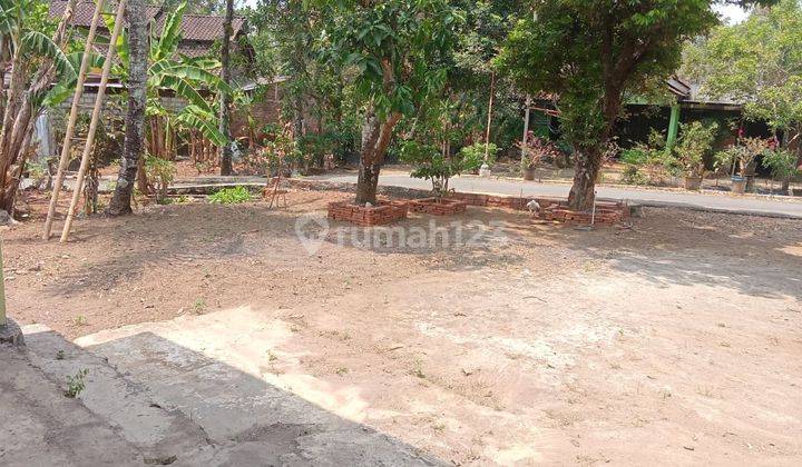 Dijual Rumah + Tanah Perkebunan , Ada Pohon Kelengkeng, Ada Pohon Pete, Ada Pohon Kelapa , Ada Pohon Mangga di Blimbing, Masiran, Kaligading, Kec. Boja, Kabupaten Kendal, Jawa Tengah, Boja 1