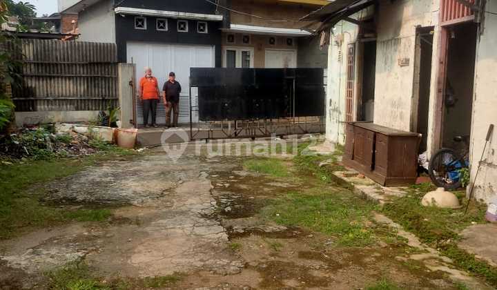 Dijual Kavling Tanah Harga Dibawah NJOP Termurah di Cisalak Dijual Kavling Tanah Harga Dibawah NJOP Termurah di Cisalak