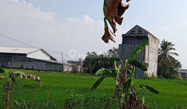 Tanah Rumah Walet 2