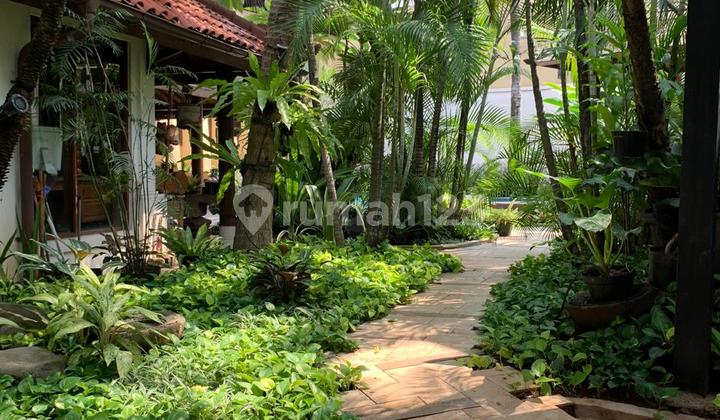 Rumah Besar Dan Asri Di Sektor 8 Bintaro