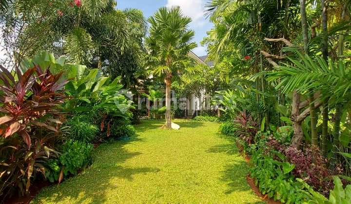 Forsale Rumah Tropical Modern Kawasan Tenang dan Asri 2