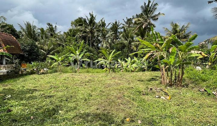 Rumah Cluster Pinggir Jalan Raya Strategis Dekat Ke Stasiun Kereta Api.