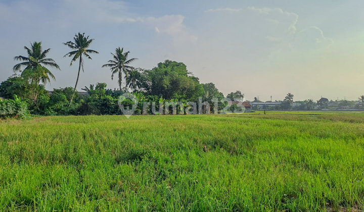 Strategic Land in Serang Banten near Balaraja Hospital, Industrial Area Strategic Land in Serang Banten near Balaraja Hospital, Industrial Area