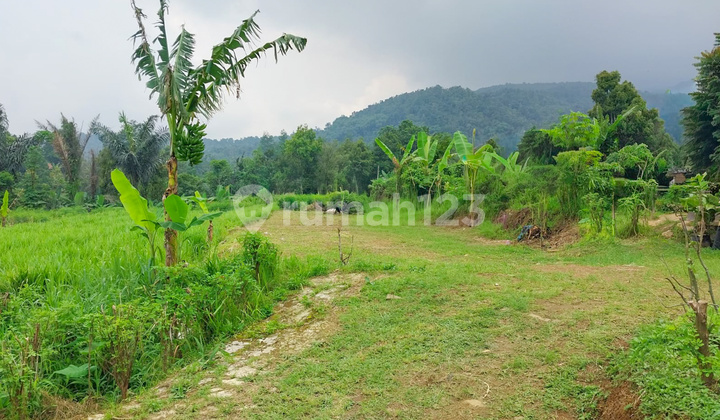 Tanah di Wanayasa Purwakarta, akses mudah ke Bojong, Babakancikao Tanah di Wanayasa Purwakarta, akses mudah ke Bojong, Babakancikao