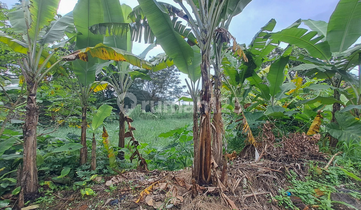 Kavling Dalam Cluster, Pakuan, Bogor, Akses Mudah ke Sentul City
