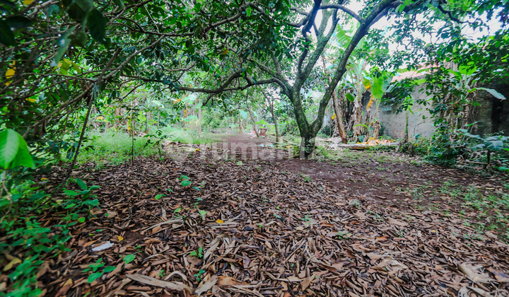 Tanah Kavling di Dekat Jalan Mayor Oking, Cibinong, Kab. Bogor, Akses Mudah Sentul City