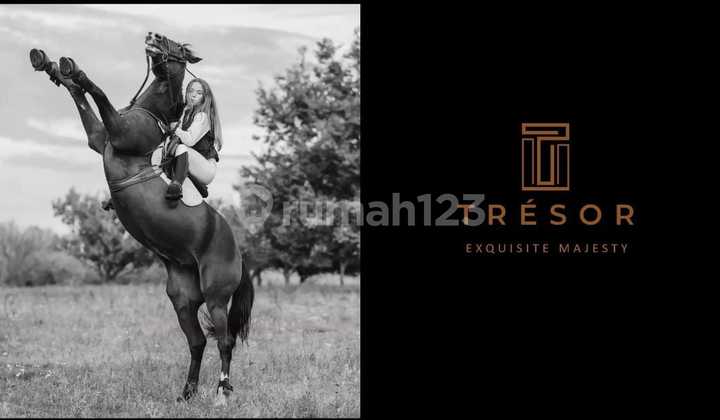 Rumah MEWAH BSD - Tangerang Selatan