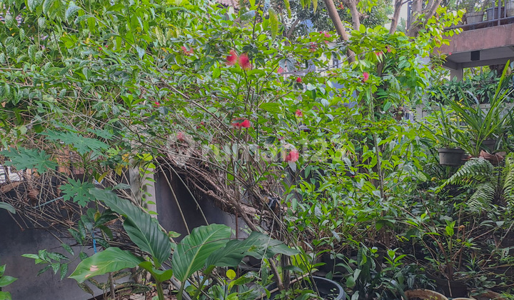 Classic House in Block S Kebayoran Baru, Near Senopati, Kuningan 2