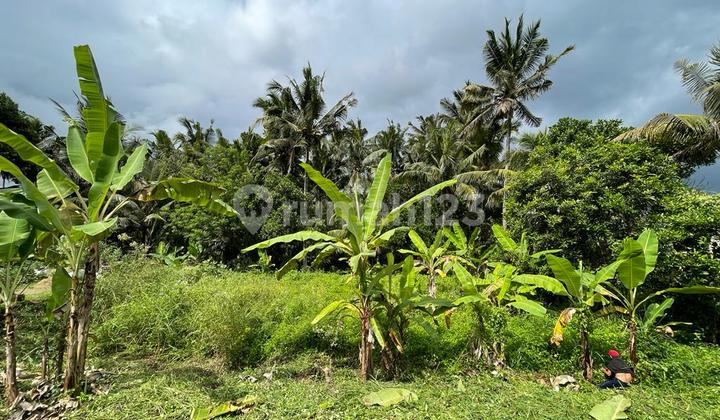 Rumah Cluster Pinggir Jalan Raya Strategis Dekat Ke Stasiun Kereta Api. 2