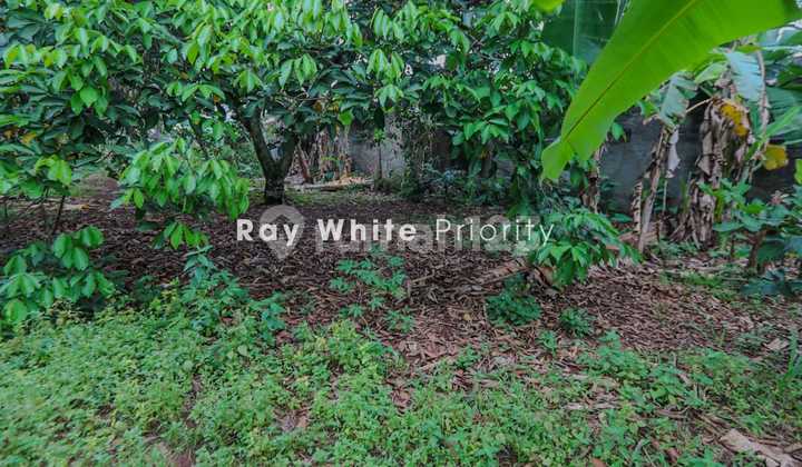 Tanah Dekat Jalan Mayor Oking Cibinong Bogor Dekat ke Sentul City