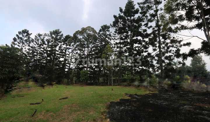 Villa hitung tanah dengan view indah di Puncak Cimacan Cipanas Villa hitung tanah dengan view indah di Puncak Cimacan Cipanas