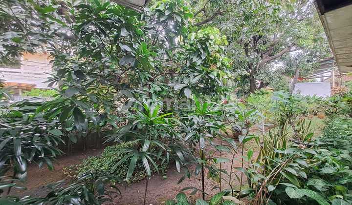 Rumah di Pluit, Penjaringan Dekat Pluit Putri, Pluit Barat, Timur 2