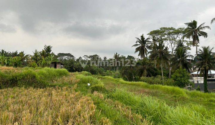 Disewakan Tanah Luas 20 Are View Sawah Lokasi Singapadu 1