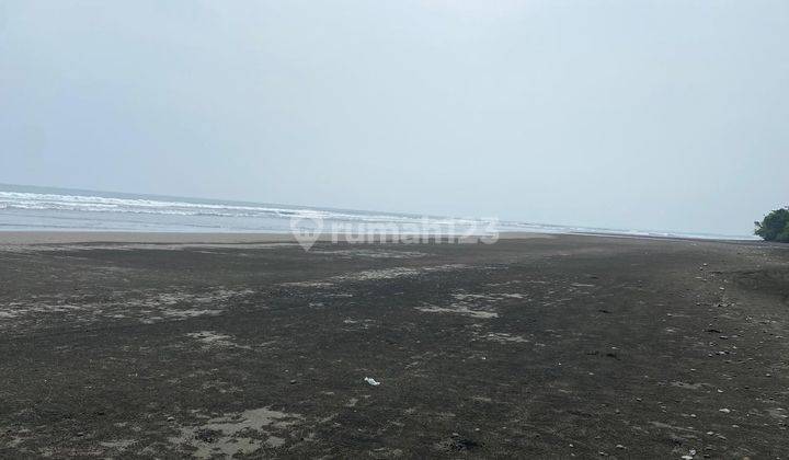 Dijual Tanah Dekat Pantai Pekutatan Jembrana Luas 150 Are 1