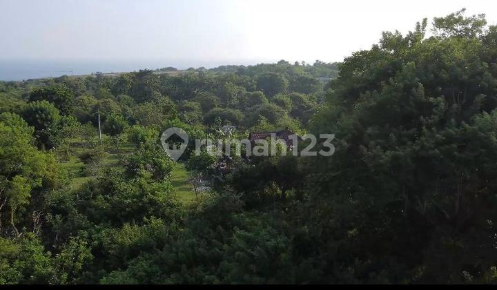 Tanah Sewa Pemilik Ocean View Gunung Payung Nusa Dua 200 M2 Tanah Sewa Pemilik Ocean View Gunung Payung Nusa Dua 200 M2