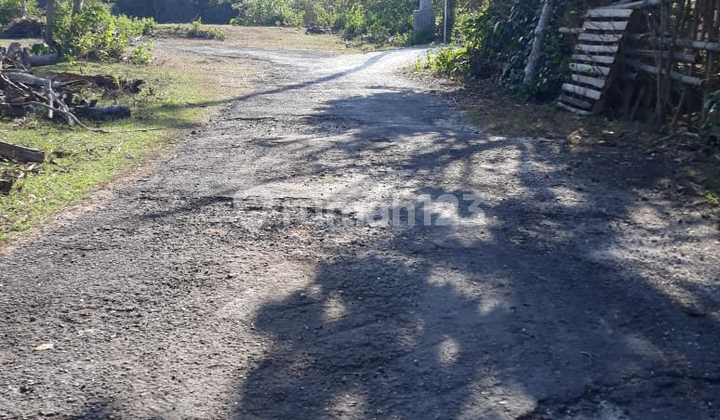 Land For Sale Ocean View Ungasan Badung Bali Land For Sale Ocean View Ungasan Badung Bali