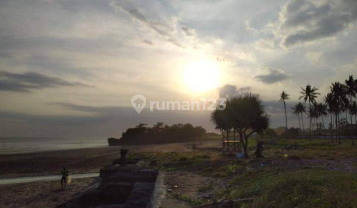 Dijual Tanah Los Pantai Pasut Tabanan Luas 1300 Are 2