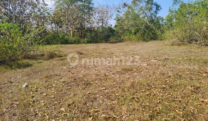 Sawangan Benoa, Badung Land Sale 3000 m2 Freehold Title Sawangan Benoa, Badung Land Sale 3000 m2 Freehold Title