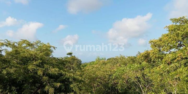 Tanah Disewakan 21 Are Pemandangan Laut Pandawa Kutuh Tanah Disewakan 21 Are Pemandangan Laut Pandawa Kutuh