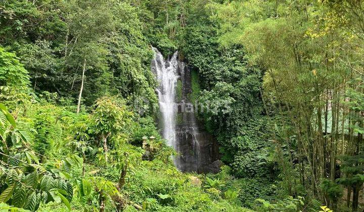 Dijual Tanah View Air Terjun Munduk Buleleng Luas 170 Are 2