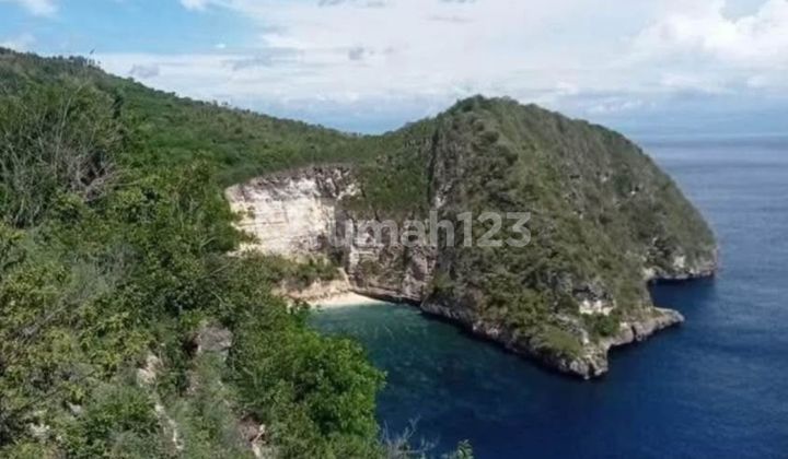 Dijual Tanah Los Tebing Nusa Penida Kelungkung Luas 30000 m2 1