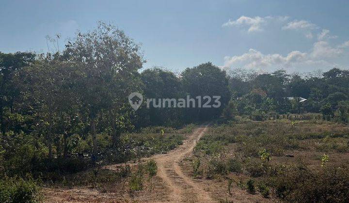 For Sale Kutuh Land Near Beach Area 97 Are 2