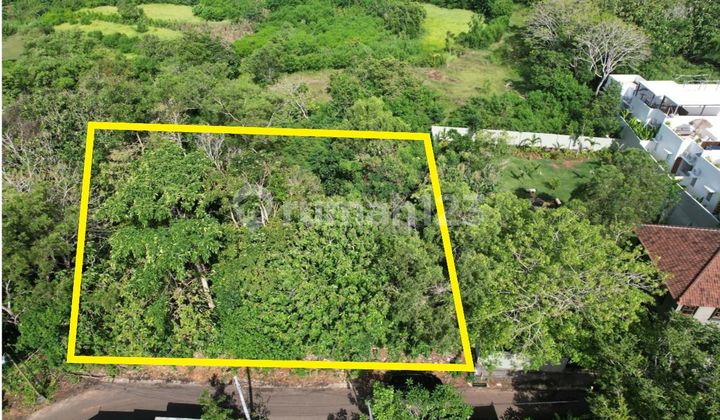 Land For Sale 1980 m2 Pecatu Badung Ocean View 