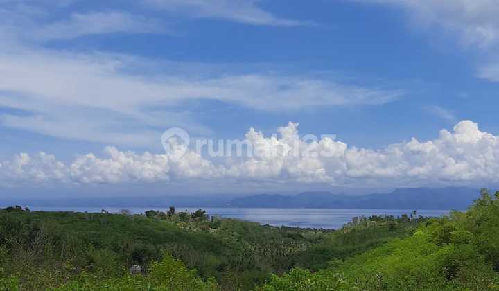 Dijual Tanah View Pantai Nusa Penida Luas 16.000 m2  2