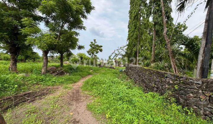 Tulamben Karangasem Ocean View Land Sale 2000 M2