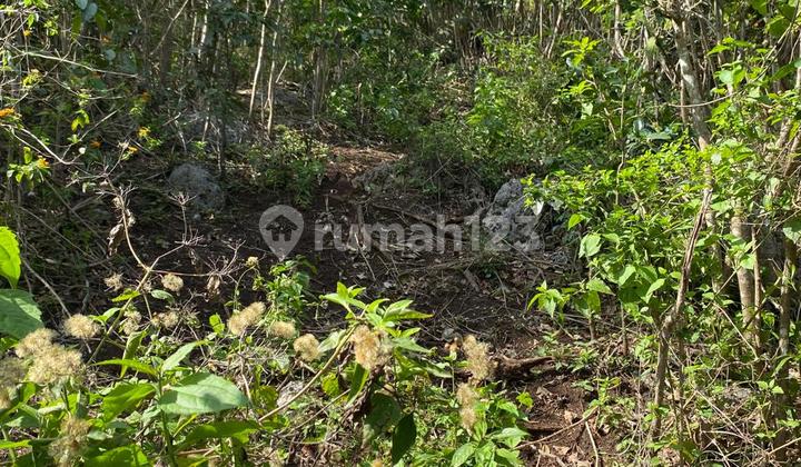 Land for Lease 9700 m2 Ocean View Kutuh Badung 