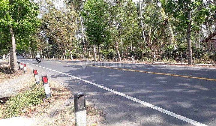 Dijual Tanah Main Road Jembrana Luas 87 Are 2