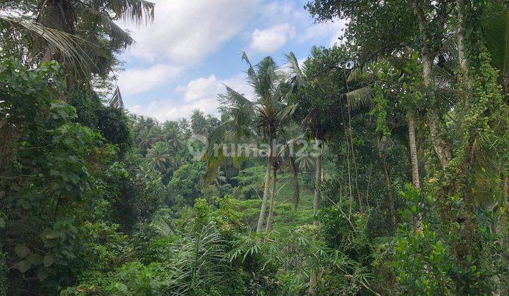 Disewakan Tanah View Lembah Pejeng Ubud Luas 9 Are 1