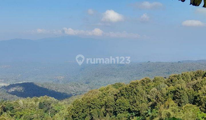 Dijual Tanah Munduk Buleleng Luas 140 Are View Danau 2