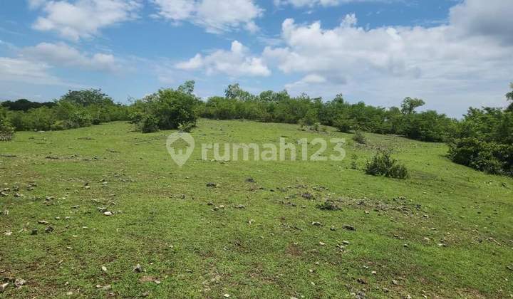 Kutuh Badung Ocean View Land Sale 4480 M2