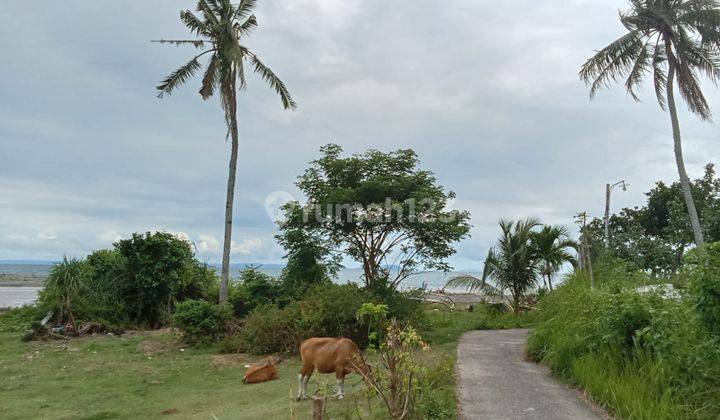 Tanah Los Pantai Dijual Luas 12500 m2 di Melaya Jembrana  1