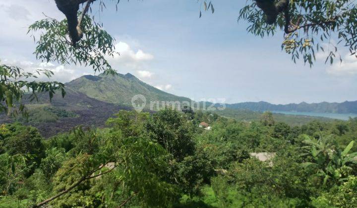 Dijual Tanah View Danau Lokasi Kintamani Luas 250 Are 2