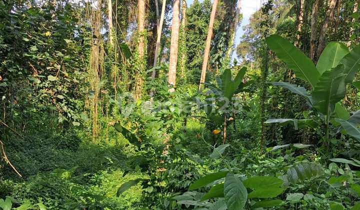 Land For Lease 1800 m2 Jungle View Ubud Gianyar