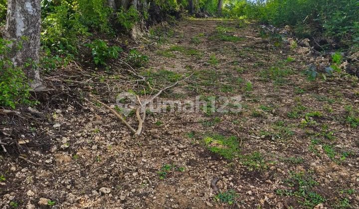 Land Premium For Sale Near Pandawa Beach 4.400 m2 Land Premium For Sale Near Pandawa Beach 4.400 m2