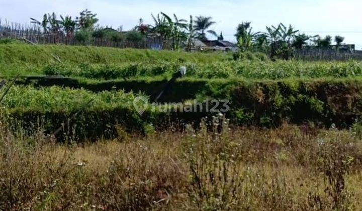 Dijual Tanah 690 Are View Lembah di Bedugul Tabanan 1