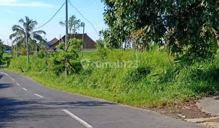 Dijual Tanah 690 Are View Lembah di Bedugul Tabanan 2