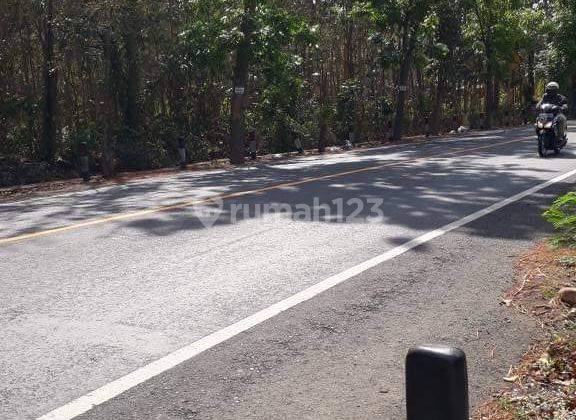 Dijual Tanah Main Road Jembrana Luas 87 Are 1