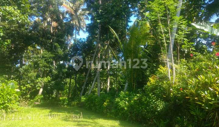 Lodtunduh Hutan View Tanah disewakan 10 Are 2
