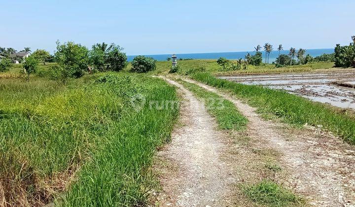 Dijual Tanah Dekat Pantai Kelecung Tabanan Luas 37 Are 1