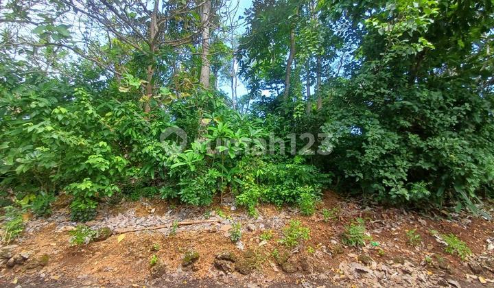 Pecatu Badung Ocean View Land Sale 1980 M2
