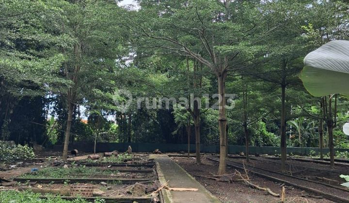 Ubud Mas Gianyar Forest View Land Lease 2700 M2