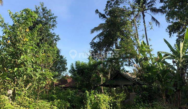 Tanah Disewakan View Hutan di Pejeng Ubud 2