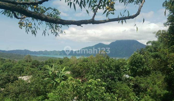 Dijual Tanah View Danau Lokasi Kintamani Luas 250 Are 1