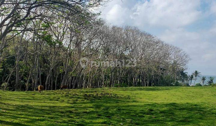 Dijual Tanah Los Pantai Soka Tabanan Luas 152 Are 1