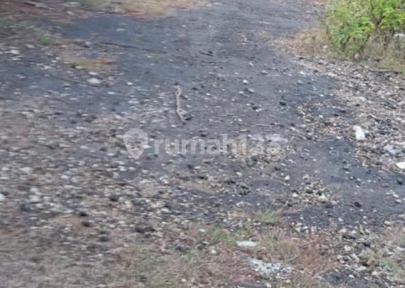 Tanah Disewakan 21 Are Pemandangan Laut Pandawa Kutuh Tanah Disewakan 21 Are Pemandangan Laut Pandawa Kutuh